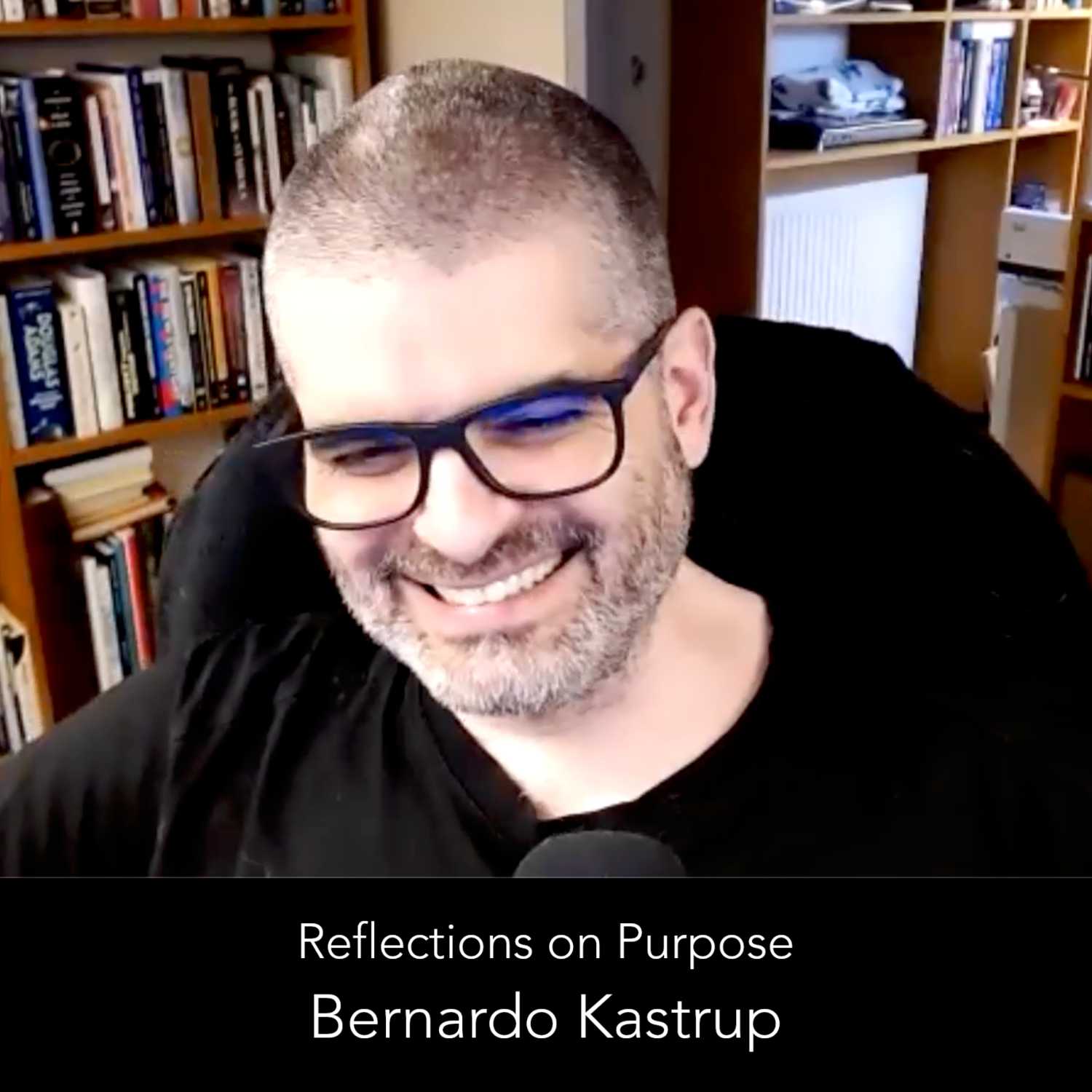 Reflections on Purpose - Bernardo Kastrup episode artwork